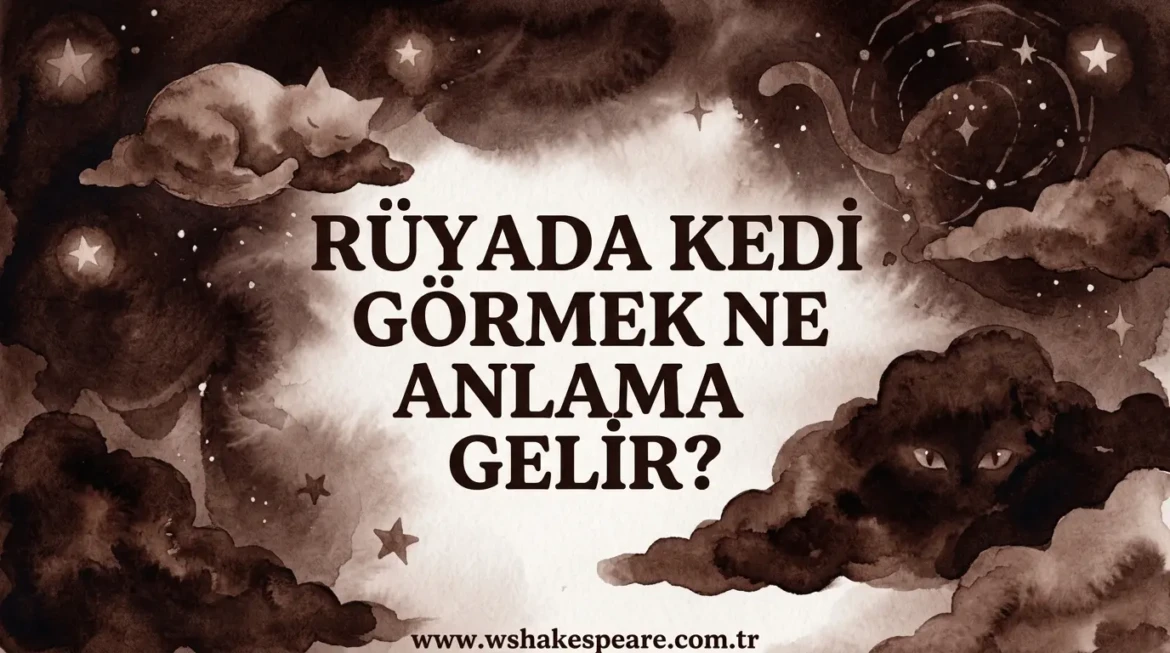 ruyada-kedi-gormek-ne-anlama-gelir-ruya-tabiri